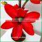 Indoor decoration artificial flower bonsai plastic artificial orchid flower artificial flower