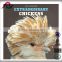 Extrordinary chickens double month printing islamic calendars
