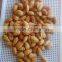 China NP roasted almond nut in shell for sale