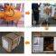 SY 0.5T low headroom electric chain hoist used for construction electric chain hoist