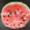 2015 New Products Fruits Pillow Sublimation Printed