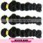 brazilian hair hand Hair weft wholesaler 3b 3c curly hair waving hair weft Pure brazilian bouncy curl human skin color hair weft