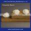 High Gloss Polyester Resin for Powder Coating