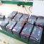 maintenance free lead-acid battery 12v 120ah solar gel battery for Solar Inverter
