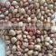 Kidney Beans new crop;