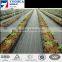 UV-treated Fruit Orchards Woven Black Polypropylene Ground Cover Reflect Sunlight Black or Green Weed Mesh