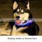 2016 Best Sell Safety Dog LED Collar Flashing Light Up, Glow and Brigh