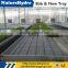 Hydroponic greenhouse plastic tray