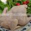 Hot sales poultry plucker finger MJ-60 chicken plucker machine for chicken feather