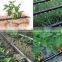 agriculture usage irrigation plastic material thin-walled drip irrigation tube/pipe
