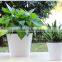 Cheap Plastic Garden Self Watering Flower Pot