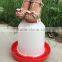 Wholesale Chicken Feeder and Drinker for Pigeon Duck
