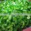fruit onion dicer machine