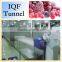 Vegetable And Fruit Quick Freezing Liquid Nitrogen Tunnel Freezer