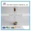Different Shapes Tall Clear Glass Vases With Rope for Single Flower