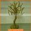 Decorative Metal Tree Shape for Jewelry Display Stand
