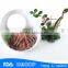 HL002 frozen seafood red shrimp pud solenocera melantho