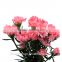 Natural carnations flower cut price for wedding