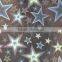 Plastic film hologram printing machine (Sale holographic printing machine)