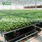 Commercial Outdoor Garden Planter Table Use Seed Bed Nets