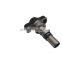 Fuel injection spare parts plunger P192 for fuel pump