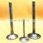 TRW intake  EXHAUST VALVE SET 4 for TOYOTA Dyna DYNA200 Toyoace Coaster 14B 3.7L NON TURBO rav4 3.5