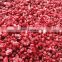 Wholesale/Crumble China Organic Frozen  Raspberry Tulameen Fertodi Heritage