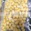 Top Quality Chinese Ginko Nut IQF Frozen Ginkgo Nut