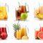 industrial fruit juice extractor with crusher