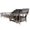 Factory supply Fruit vegetable cleaning drying machine / bubble washing machine