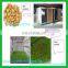 Bean Sprout Growing Machine | Bean Sprout Machine | Mungbean Sprout Machine