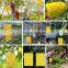 Dual Sided Yellow Insect Sticky Traps for Plant Trampas adhesivas para insectos Trampas adhesivas amarillas