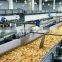 Vollautomatische kontinuierliche Kartoffelchips-Friteuse/Fritierequipment