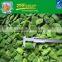 IQF Frozen Romano Beans Cut
