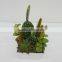 New arrival decorative artificial plants/ succulent plants mixed series