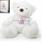 New plush Custom glow in the dark bear toy/ Plush Glow In Teddy Bear