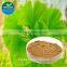 Manufacturer Pure Natural High Quality Ginkgo Biloba Extract, Ginkgo Biloba Extract Powder, Ginkgo Biloba Leaf Extract