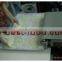TY-788 Automatic Roti Pressing machine