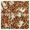 roasted buckwheat Organice grains wholesale