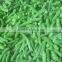 whole frozen green beans