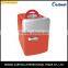 Portable cooler and warmer mini fridge for car 5L