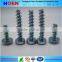 PT Screw, Thread Forming Screw for Plastics, Torx Drive Plastite Screw