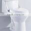 one-piece toilet JY-Z30