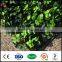 UV protected artificial fake hedge verticial garden