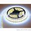 IP20 single color DC12V/24V SMD5050 30LEDs flexible LED strip light strips