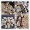 Soy Extruder Machine/Filamentose Soyabean Protein Machine