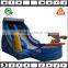 Giant Outdoor Inflatable Water or Dry Slide for Adults and Kids, Commercial Used Inflatable Slide for Sale
