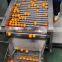 high quality conveyor system