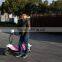 high quality 48v lithium battery pack for electric scooter, folding scooter electric, electric scooter 3 wheel kids