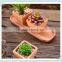 square terracotta flower pot with square design for plants